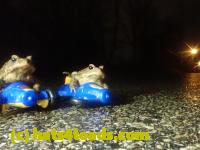 /home//u458753944/public_html/sourcegallery/////////////////////////////Roxborough Toad Detour/2023/2023-03-23/P3230639.JPG